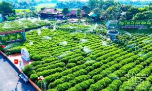 太原省提升茶叶产业的科技含量