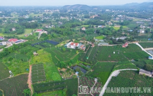 新疆：美丽的风景——好喝的茶品