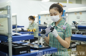 迈向绿色增长的出口