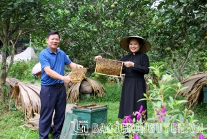 三合蜂蜜之甜