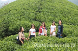 发展旅游和建设新农村：缺一不可的工作